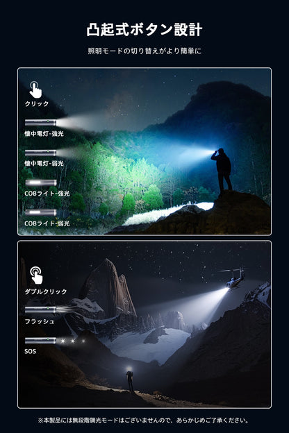Philips(フィリップス)懐中電灯 SFL1188