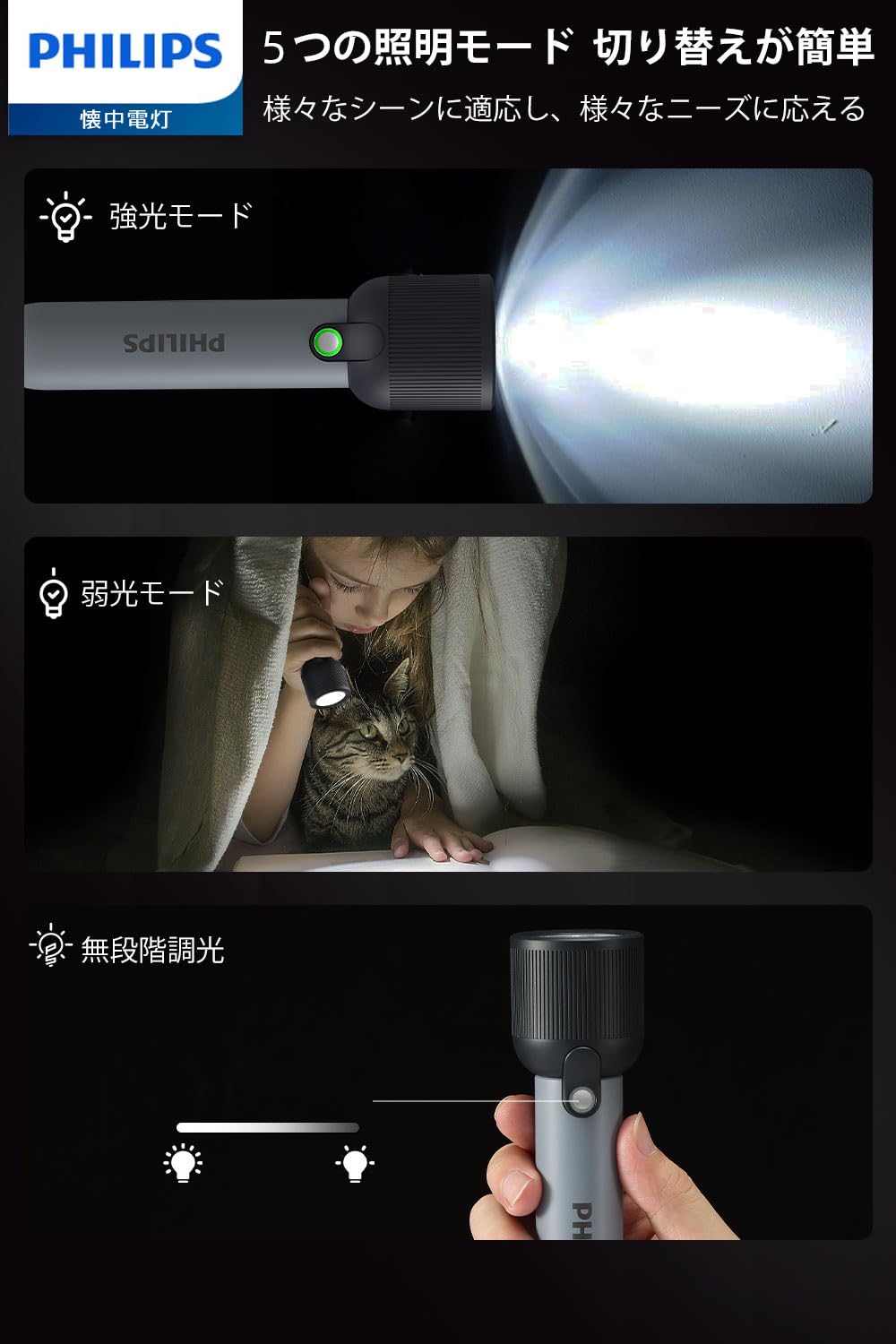 Philips(フィリップス)懐中電灯SFL1181